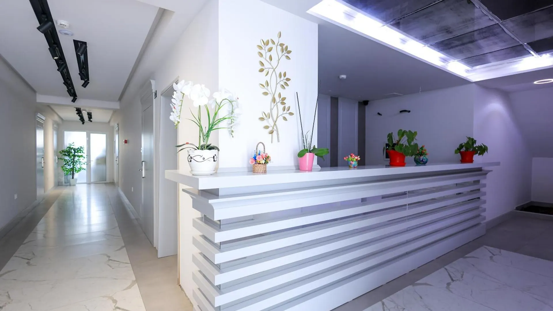 Guest house Beach Guesthouse Durres